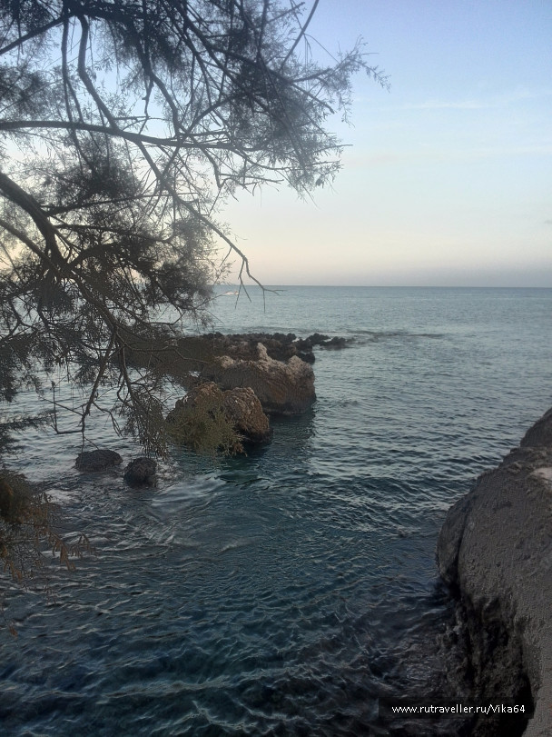 photo 1347123