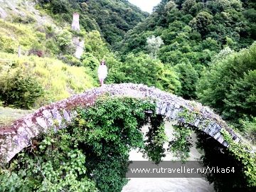 photo 1544150