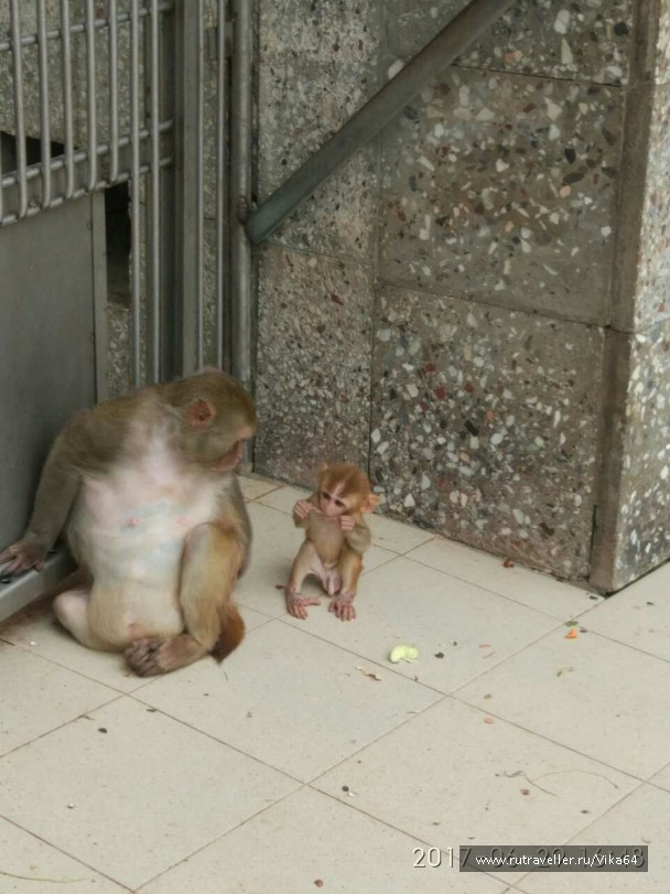 photo 1544153