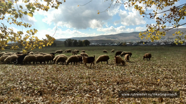 photo 1157122