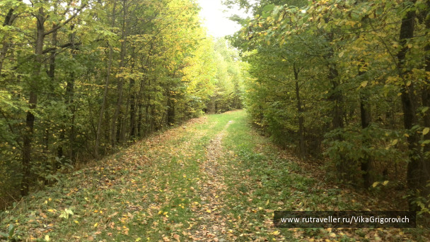photo 1157182