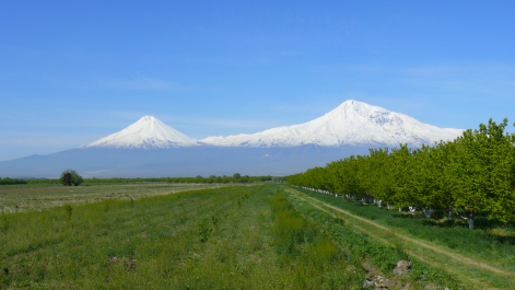 photo 1157279