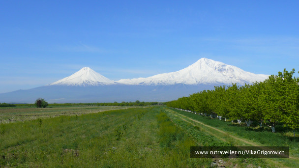 photo 1157279