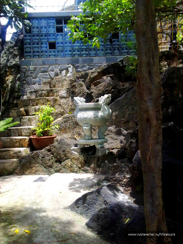 photo 495985
