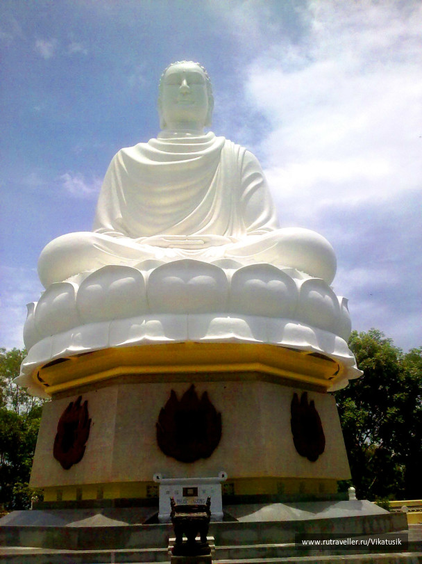 photo 495988