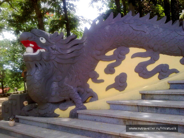 photo 495989
