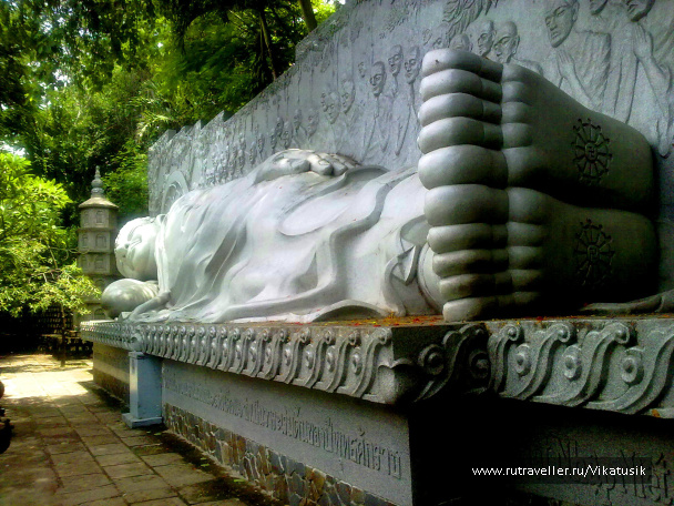 photo 495992