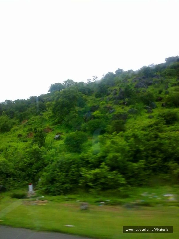photo 496036