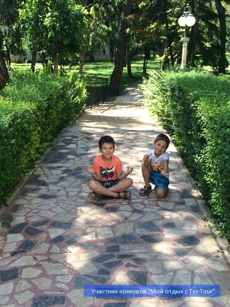 photo 793286