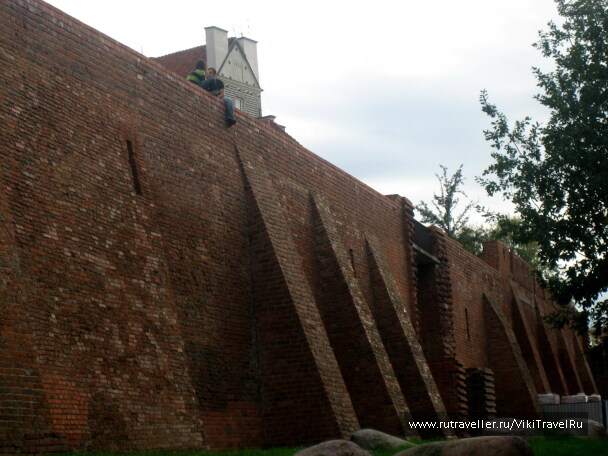 photo 1224002