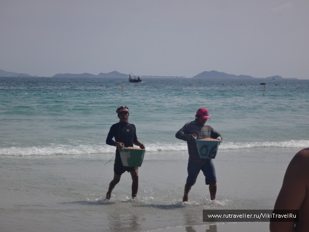photo 1229176