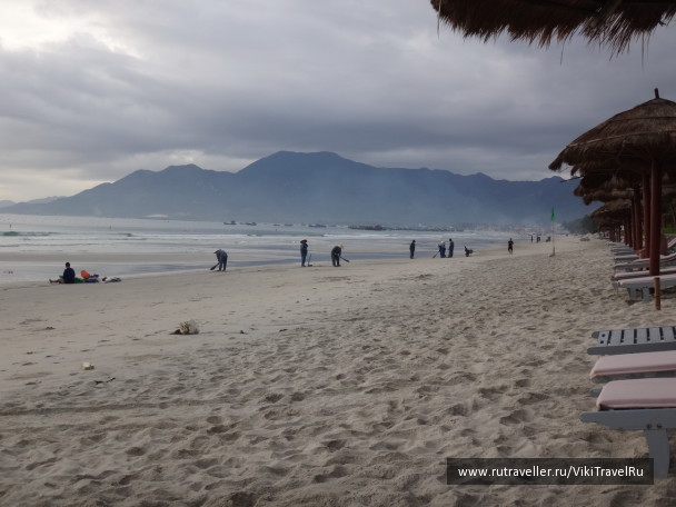 photo 1229178