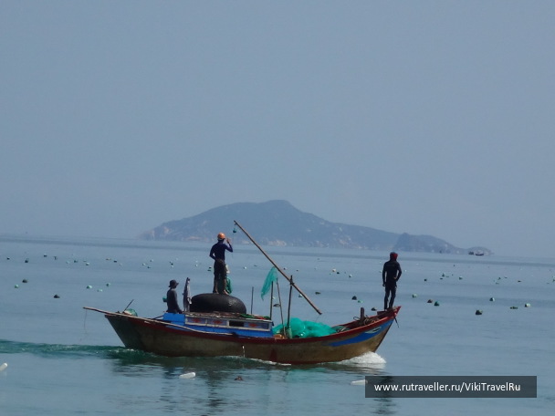 photo 1229181
