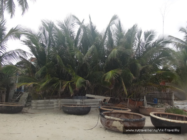 photo 1229201