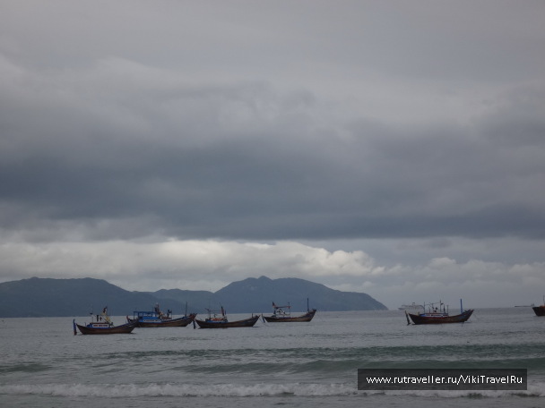 photo 1229205