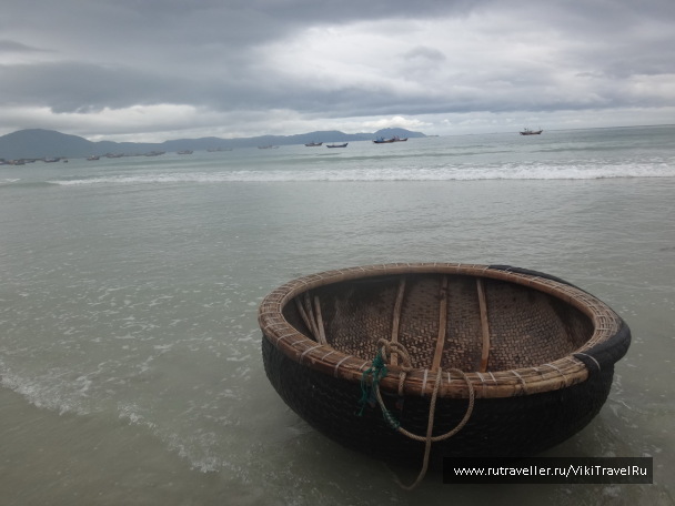 photo 1229206