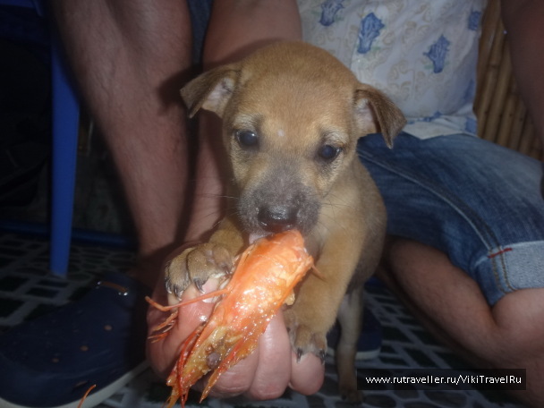 photo 1229216