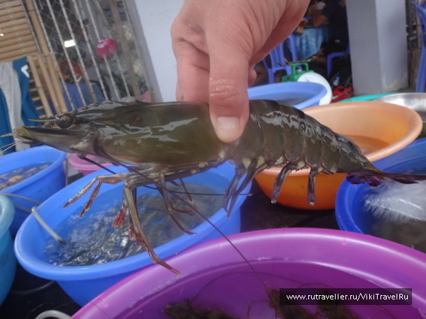 photo 1229218