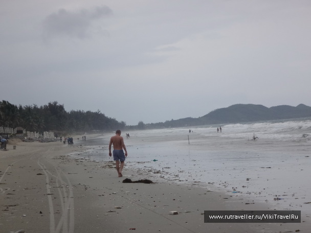 photo 1229231