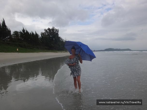 photo 1229252