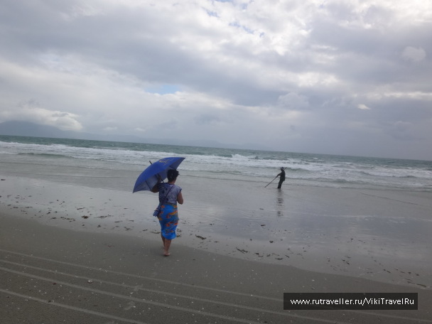 photo 1229253