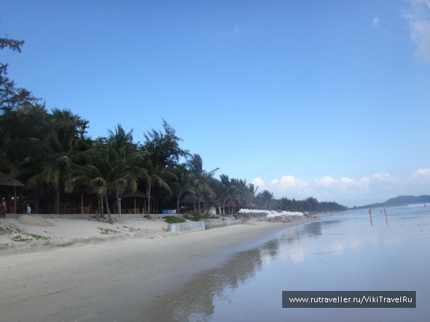 photo 1229262