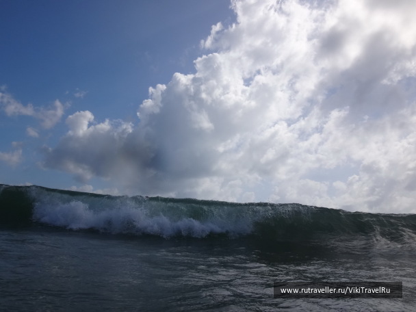 photo 1229266