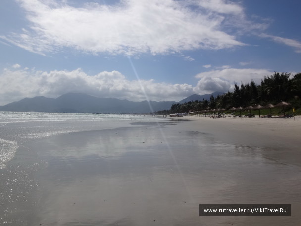 photo 1229274