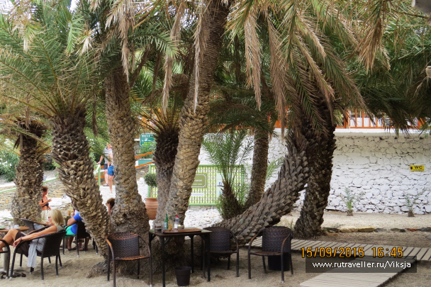 photo 1364326