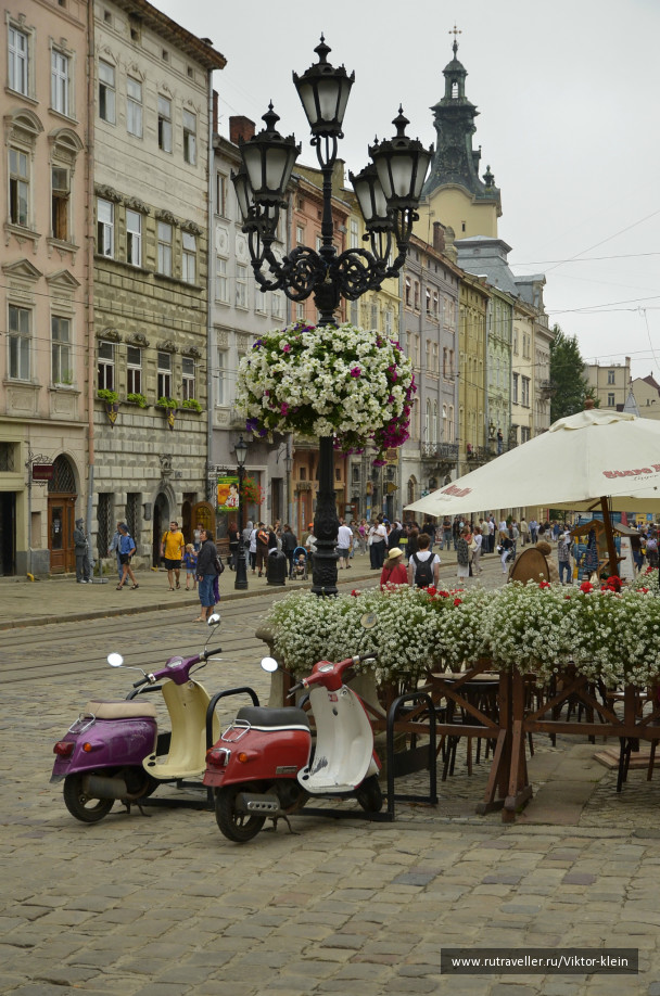 photo 256315