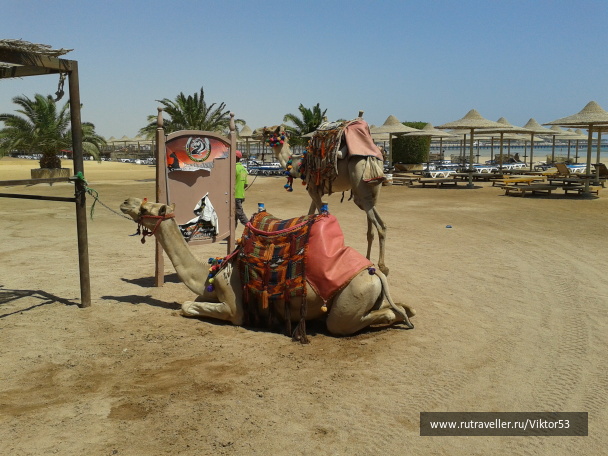 photo 2033079