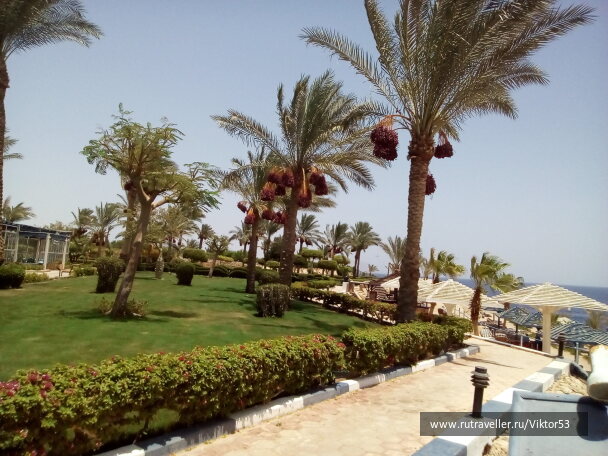 photo 2033085