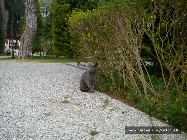 photo 347007