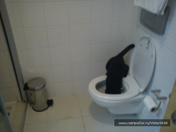 photo 347015