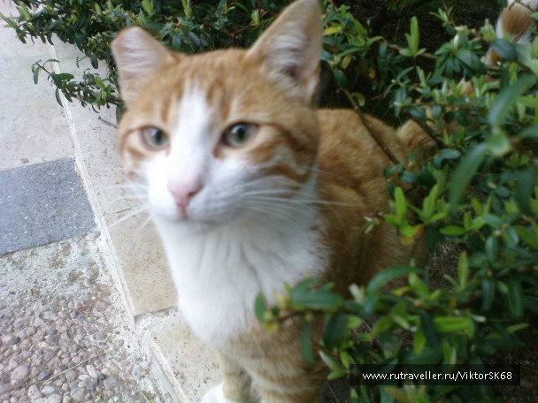 photo 347016