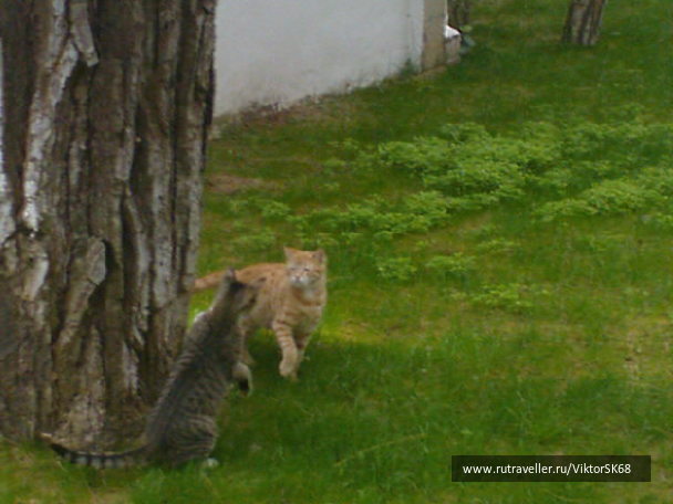 photo 347017
