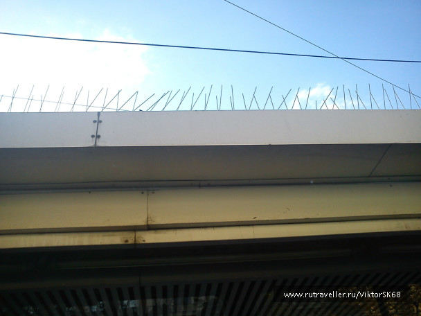 photo 465514