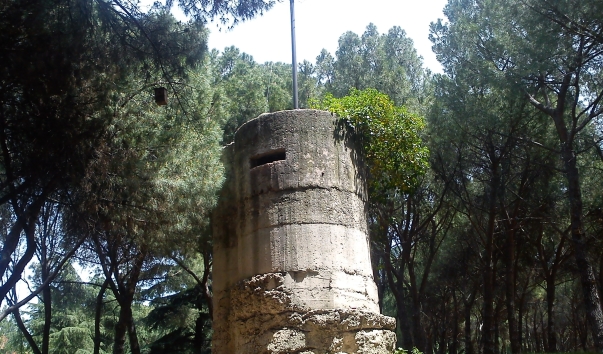 5423d8ebc4827.jpg