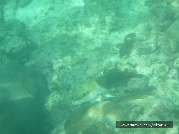 photo 867147