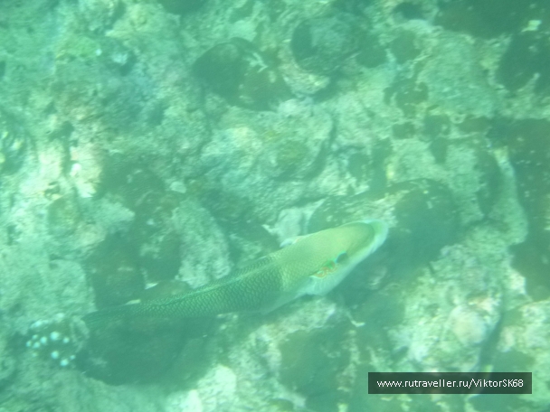 photo 867148