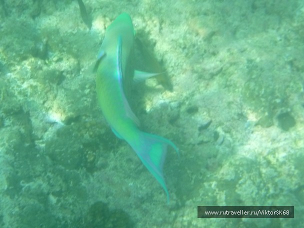 photo 867149