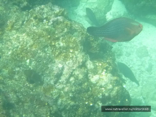photo 867151