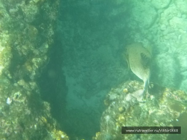 photo 867152