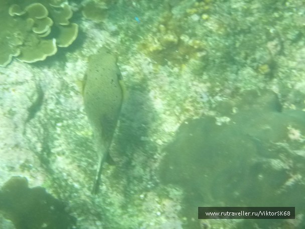 photo 867153