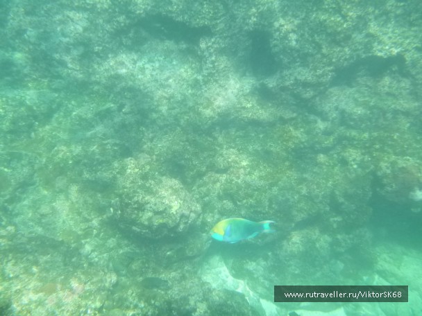 photo 867158