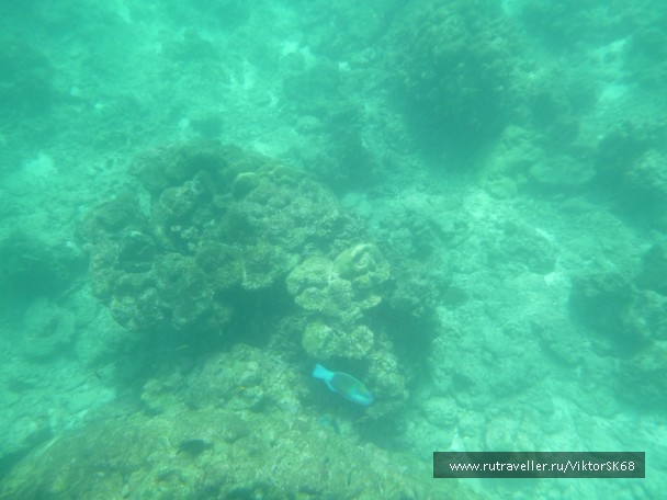 photo 867161