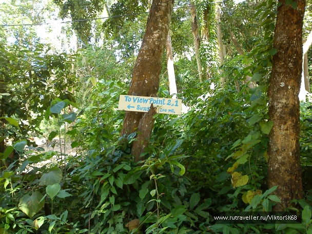 photo 867234