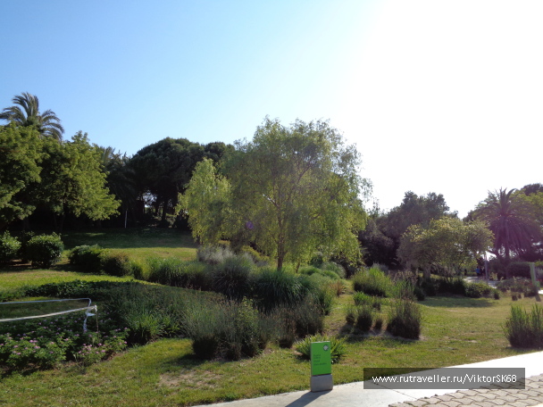 photo 1323055