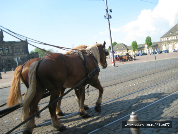 photo 637408