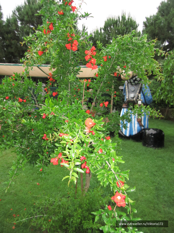 photo 1247983